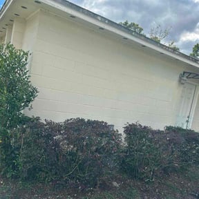 Bush Trimming by Victoria Landscaping, LLc reviewed on December 18, 2025