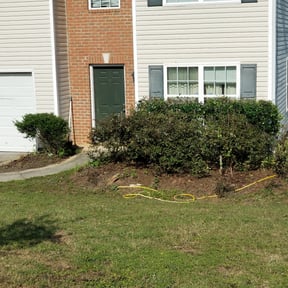Bush Trimming by A Happy House Design LLC reviewed on August 18, 2025