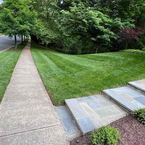 landscaping services by B&amp;R Canelo Landscape reviewed on May 4, 2024