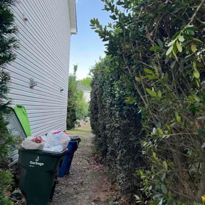 Bush Trimming by RJ’S Lawn Care reviewed on May 18, 2026