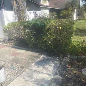 Bush Trimming by Electrifying lawn care reviewed on February 18, 2026