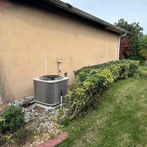 Bush Trimming by D&k Taylor lawn care reviewed on August 15, 2025