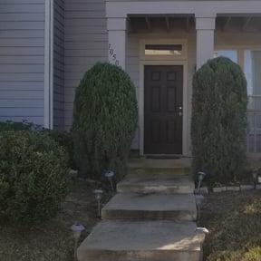 Bush Trimming by B&t lawn servicee reviewed on August 13, 2025