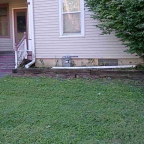 Bush Trimming by Virgil lawn service reviewed on November 24, 2025