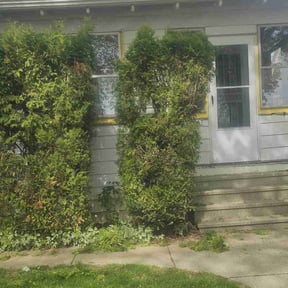 Bush Trimming by A Cut Above Lawn & Landscaping reviewed on August 16, 2025