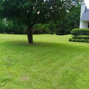 landscape maintenance by Get It Done Lawn Care reviewed on August 1, 2025