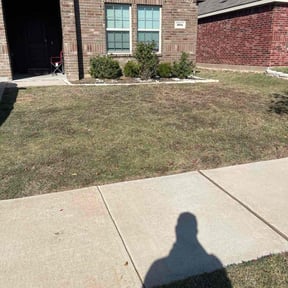 Bush Trimming by A&amp;O Lawncare reviewed on November 23, 2025