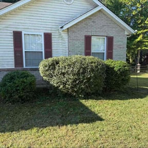 Bush Trimming by Payton Lawn Service reviewed on October 21, 2025