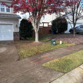 Leaf Removal by The Best Grass reviewed on November 7, 2025