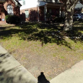 Leaf Removal by S. Hayes lawn Maintenance reviewed on August 17, 2025