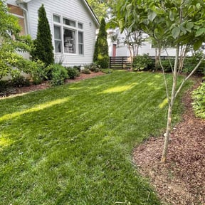 yard care by Lawn Junkie reviewed on August 14, 2025