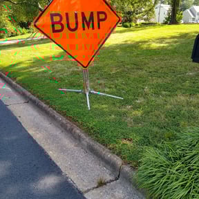 Bush Trimming by SolidDustLawns LLC reviewed on August 18, 2025