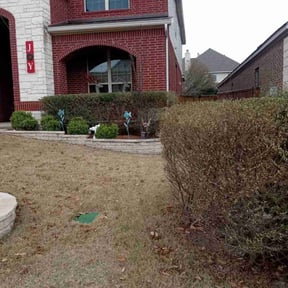Bush Trimming by Ralph & sons property maintenance reviewed on August 16, 2025