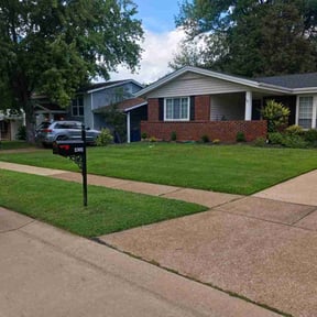 landscape maintenance by Curb appeal lawn care reviewed on August 17, 2025
