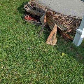 Bush Trimming by Cutz and Dumpz reviewed on July 11, 2026