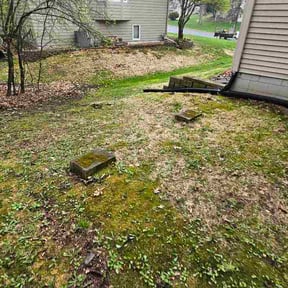 Leaf Removal by Robert Norton’s Lawn Care reviewed on April 29, 2026