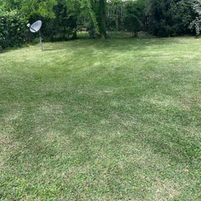 residential landscaping by L&L Landscape Contractors LLC reviewed on August 20, 2025