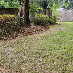 Bush Trimming by Jose Perez Landscaping reviewed on August 15, 2025