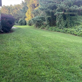 gardening service by Burleys Lawn Care reviewed on September 10, 2024