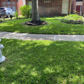 yard care by eMowBCS.com reviewed on February 8, 2025