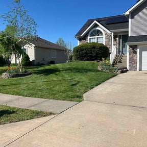 yard service by Better Than Most Lawn Services reviewed on August 16, 2025