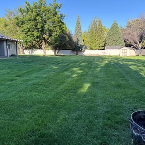 residential landscaping by DC Exclsuive Property Services LLC reviewed on February 20, 2026