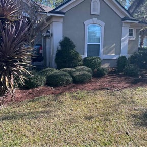 Flower Bed Weeding by Greenline Lawn Co reviewed on June 6, 2026