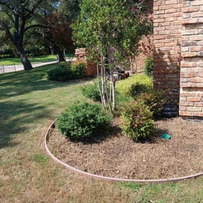 Flower Bed Weeding by Sosa's Lawn Care &amp; Design LLC reviewed on November 27, 2025