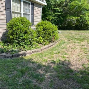 Bush Trimming by Walk Down Lawn Service reviewed on April 25, 2026