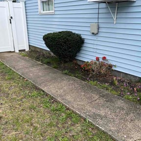 Bush Trimming by Keen Masonry reviewed on May 3, 2026