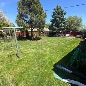 Cleanups by Blessed Lawn Care Services &amp; Odd Jobs reviewed on August 3, 2022