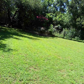 yard service by Value Lawn Care reviewed on August 18, 2025