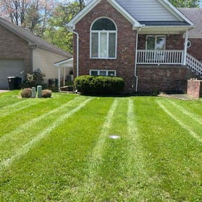 landscaping services by Marshall mowing reviewed on October 10, 2024