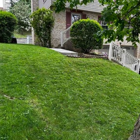 Bush Trimming by Trusty Trade Co. reviewed on May 25, 2026