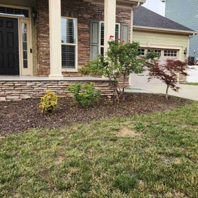 Bush Trimming by HalconLandscapingServices reviewed on May 21, 2023