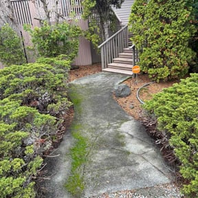 Leaf Removal by Alexis perez reviewed on November 23, 2025