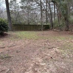 Leaf Removal by Kingdom Landscape &amp; Design reviewed on February 4, 2026