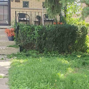 Bush Trimming by Rebuildingdwellingsllc reviewed on July 16, 2026