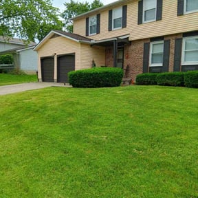 lawn care by Affordable Lawn Care reviewed on August 19, 2025