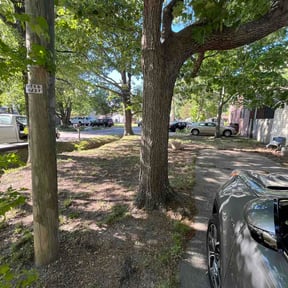Leaf Removal by Spinelli Scenery Solutions LLC. reviewed on May 2, 2026