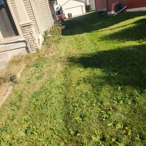 Flower Bed Weeding by Gill handyman &amp; Cleaning Service reviewed on October 24, 2025