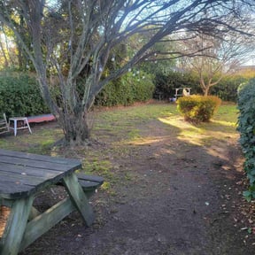 Leaf Removal by E-maculate Lawn  Care LLC reviewed on September 29, 2025