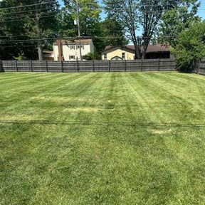 turf care by Letusmow llc reviewed on July 22, 2023