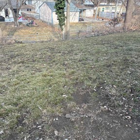 Leaf Removal by Quick Cutz Lawn Care. reviewed on June 23, 2026