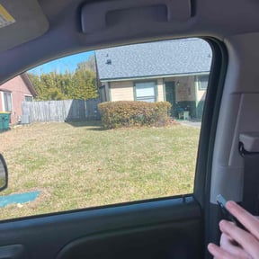 Bush Trimming by Sal's lawn service reviewed on August 14, 2025