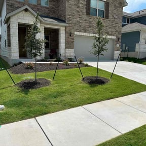 landscaping by Wildflower Lawn Care Company reviewed on January 16, 2026