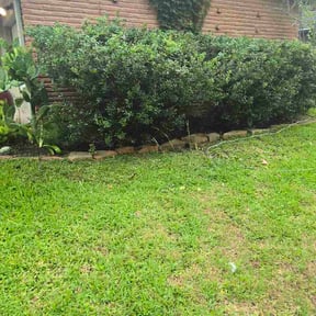 Flower Bed Weeding by Landscape &amp; Mowing reviewed on May 22, 2026