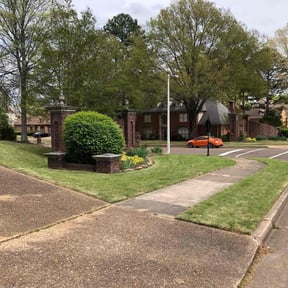 grass maintenance by P&#039;s lawn service reviewed on July 26, 2025