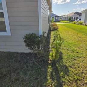 Bush Trimming by My Home Lawn Service reviewed on October 20, 2025