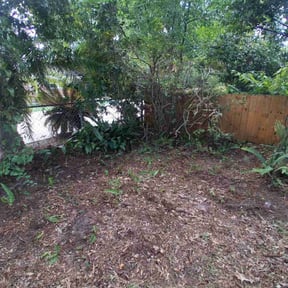 Leaf Removal by truckster mowing reviewed on November 9, 2025